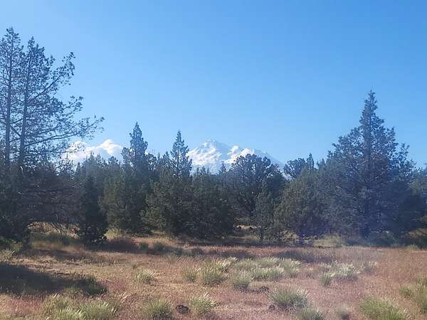 40 Acres of Recreational Land for Sale in Montague, California