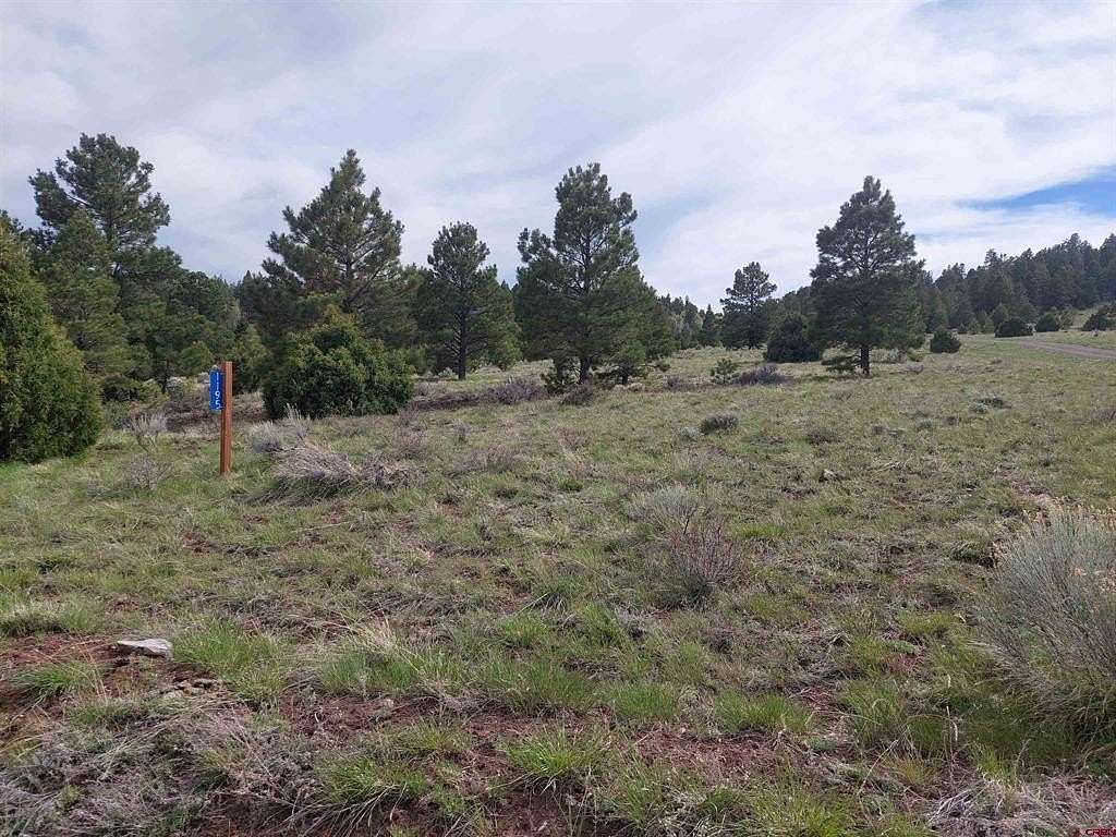 32.3 Acres of Recreational Land for Sale in Antonito, Colorado