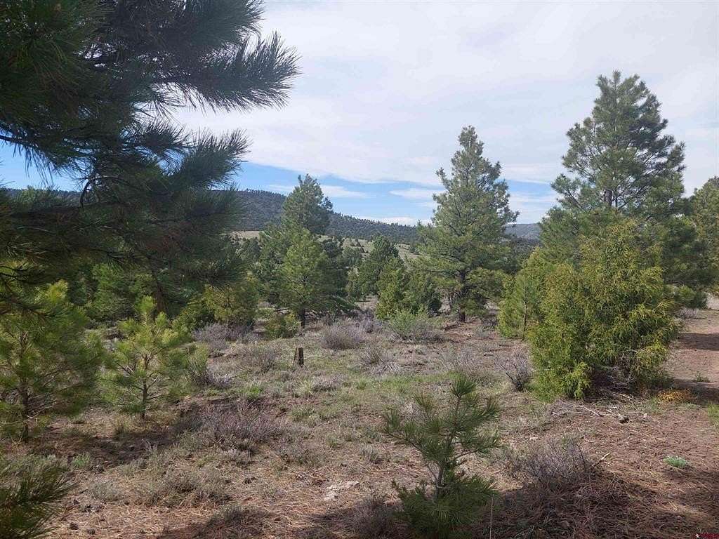 32.3 Acres of Recreational & Residential Land for Sale in Antonito, Colorado