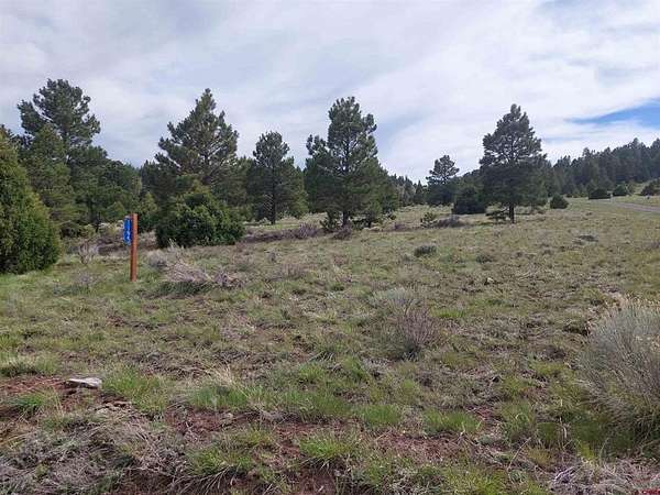 32.3 Acres of Recreational Land for Sale in Antonito, Colorado