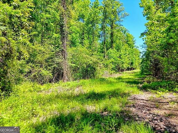 2 Acres of Residential Land for Sale in Clarkesville, Georgia