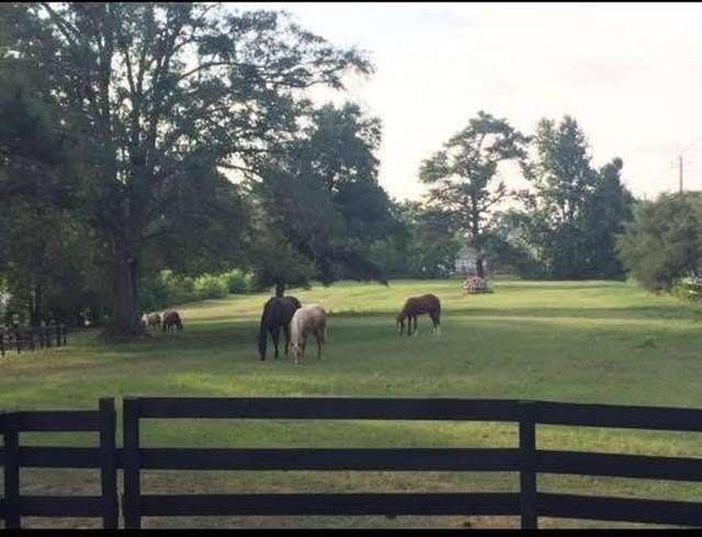 10.3 Acres of Land for Sale in Midland, Georgia