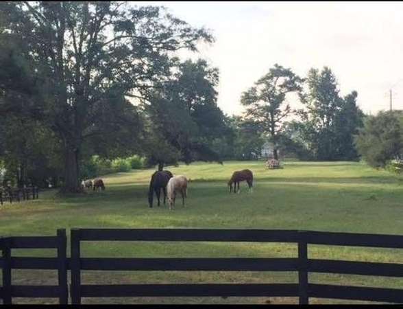 10.3 Acres of Land for Sale in Midland, Georgia