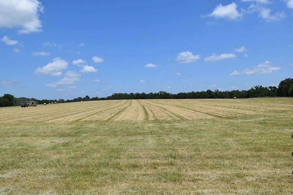 149 Acres of Agricultural Land for Sale in Palestine, Texas