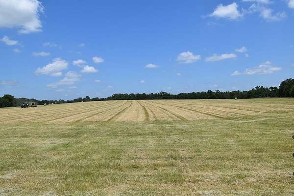 149 Acres of Agricultural Land for Sale in Palestine, Texas