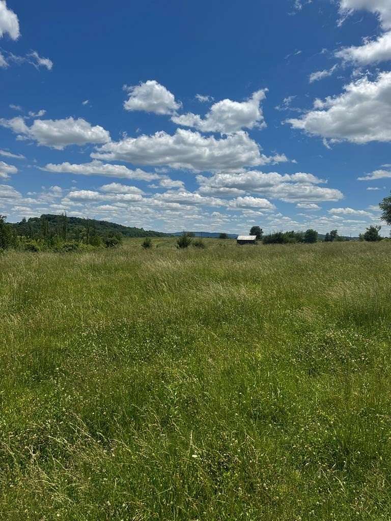 1.5 Acres of Land for Sale in Albany, Kentucky
