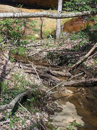 2.2 Acres of Land for Sale in Crossville, Tennessee