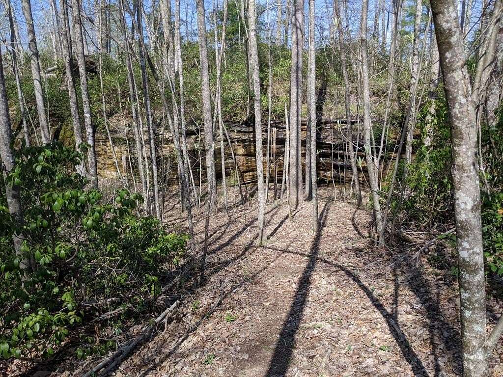 Land for Sale in Crossville, Tennessee