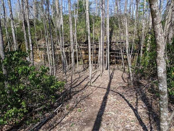 Land for Sale in Crossville, Tennessee