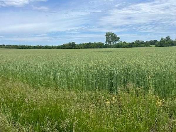 20 Acres of Land for Sale in Paola, Kansas