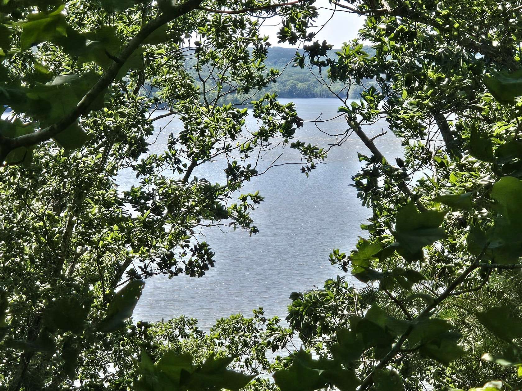 1.24 Acres of Residential Land for Sale in Waverly, Tennessee