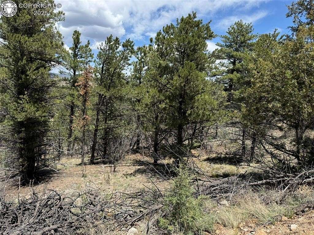 5 Acres of Land for Sale in Cotopaxi, Colorado