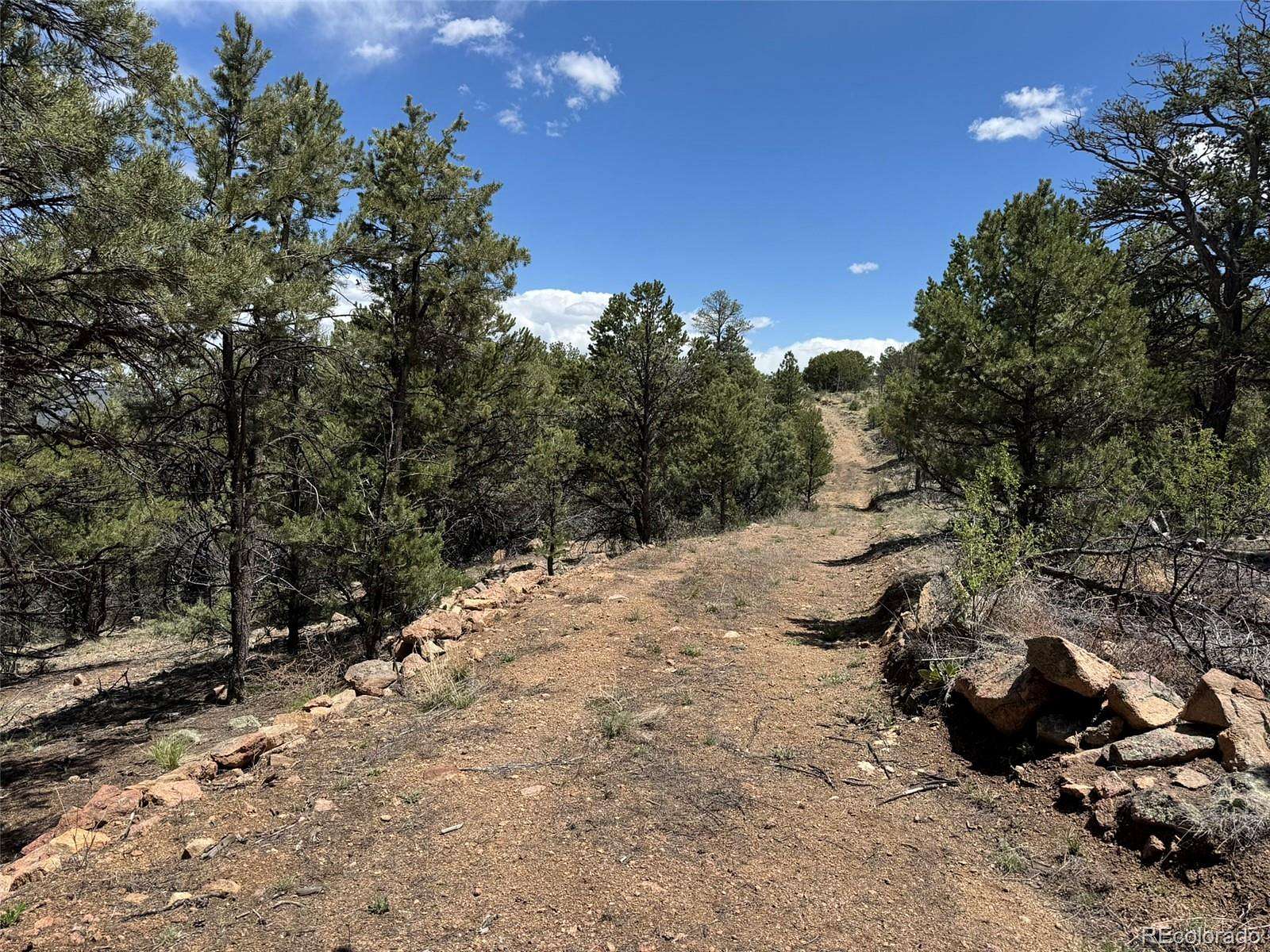 5 Acres of Residential Land for Sale in Cotopaxi, Colorado