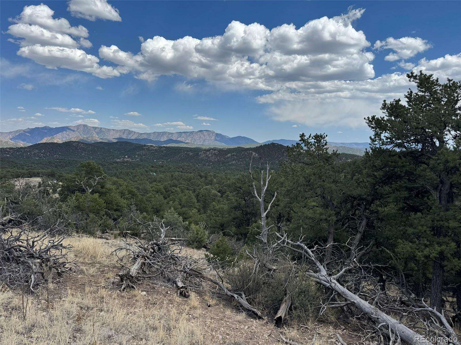 5 Acres of Residential Land for Sale in Cotopaxi, Colorado