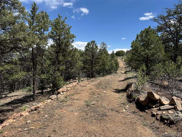 5 Acres of Residential Land for Sale in Cotopaxi, Colorado
