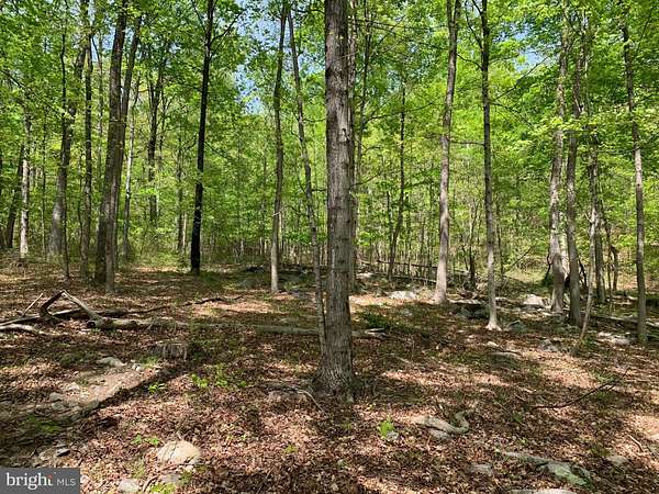 9.28 Acres of Land for Sale in Great Cacapon, West Virginia
