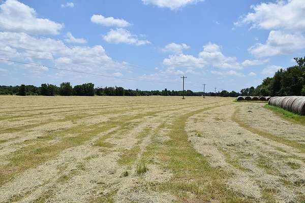 20 Acres of Agricultural Land for Sale in Palestine, Texas