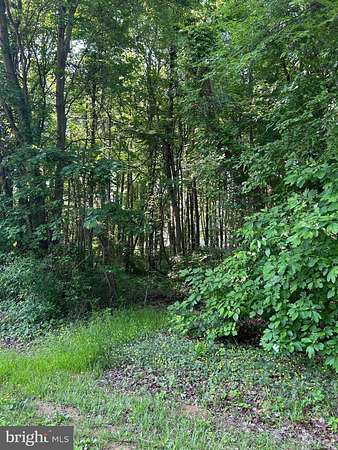 0.34 Acres of Land for Sale in Stevensville, Maryland