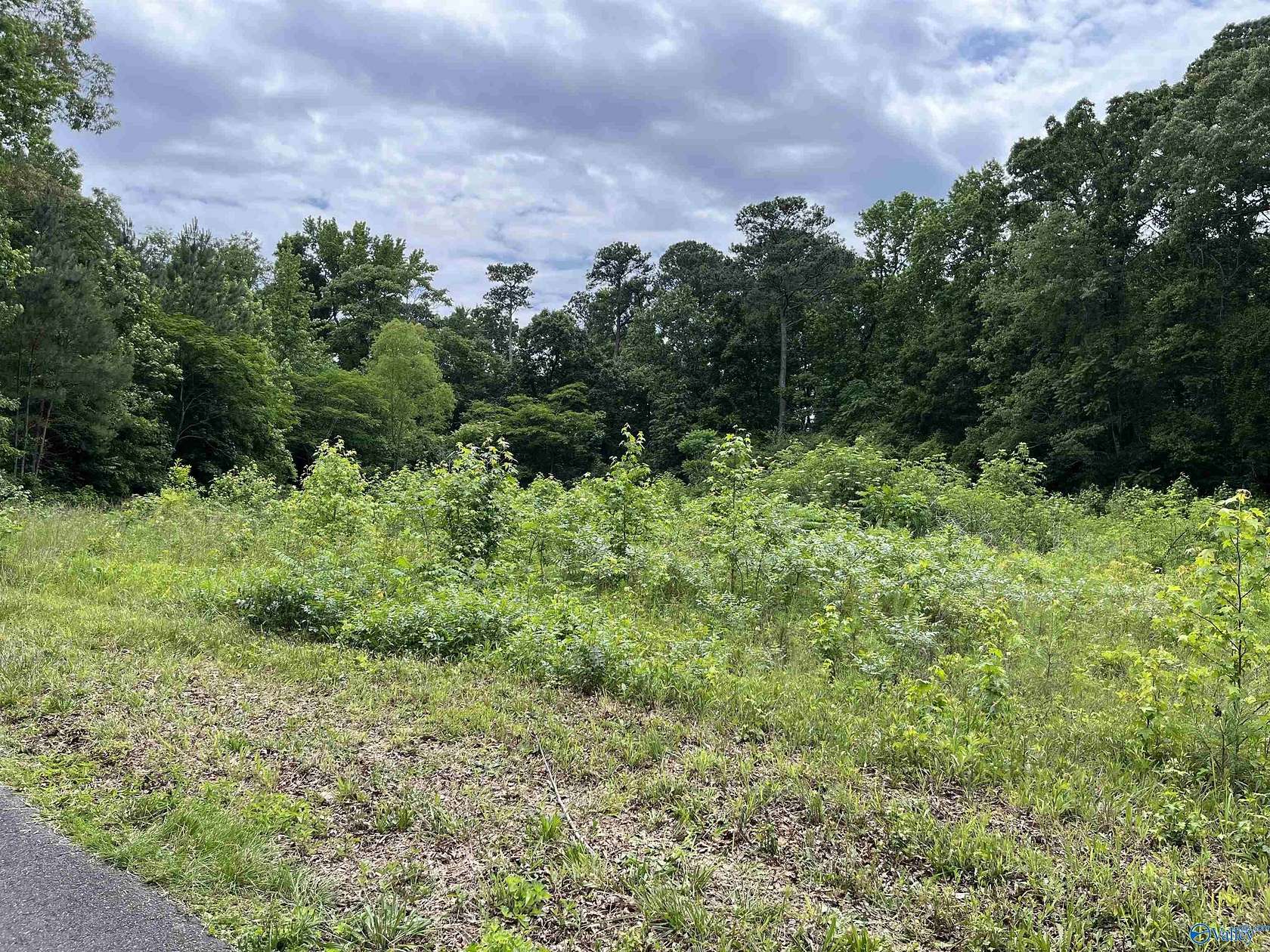 0.75 Acres of Residential Land for Sale in Crossville, Alabama