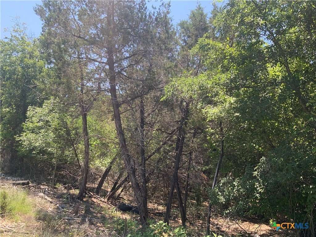 0.33 Acres of Land for Sale in Belton, Texas