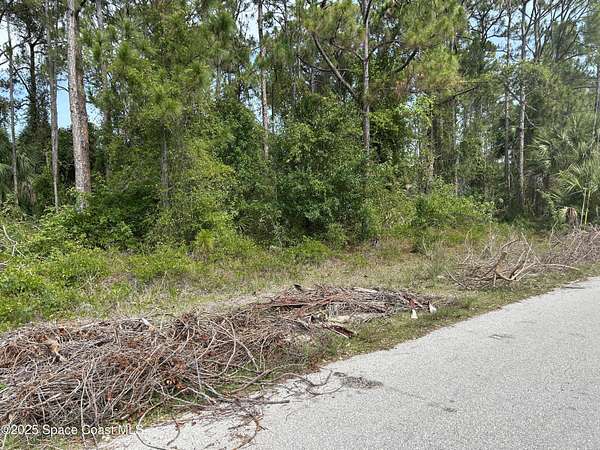 0.23 Acres of Residential Land for Sale in Palm Bay, Florida