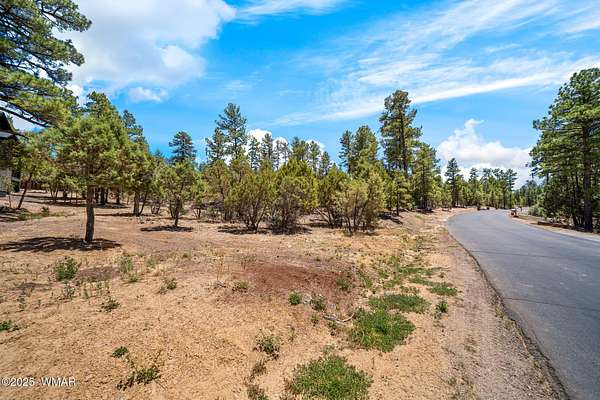 0.45 Acres of Residential Land for Sale in Show Low, Arizona