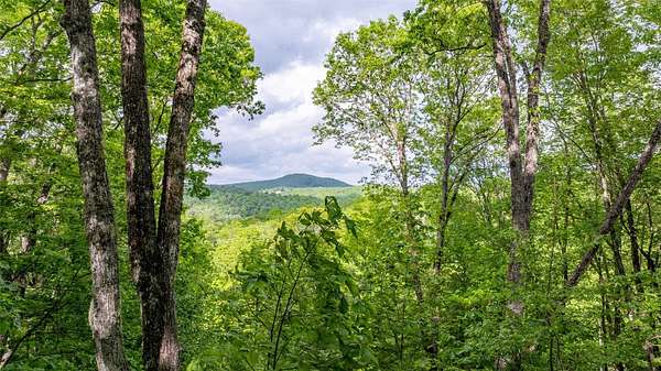 0.98 Acres of Land for Sale in Glenville, North Carolina