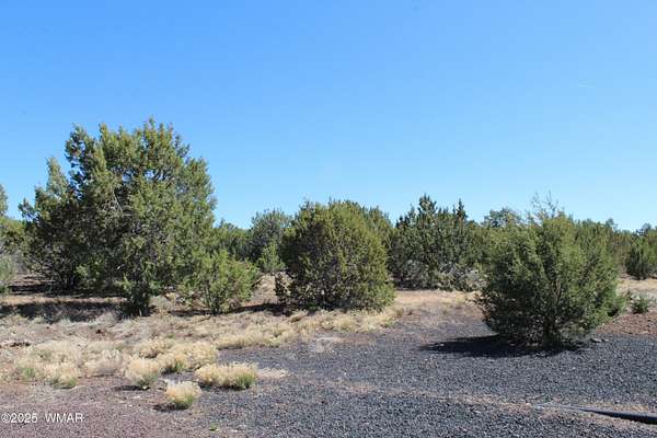 2 Acres of Residential Land for Sale in Vernon, Arizona