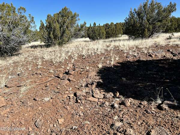 8.4 Acres of Residential Land for Sale in Concho, Arizona