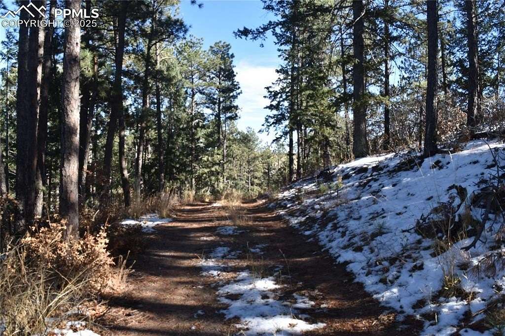 4.83 Acres of Residential Land for Sale in Larkspur, Colorado