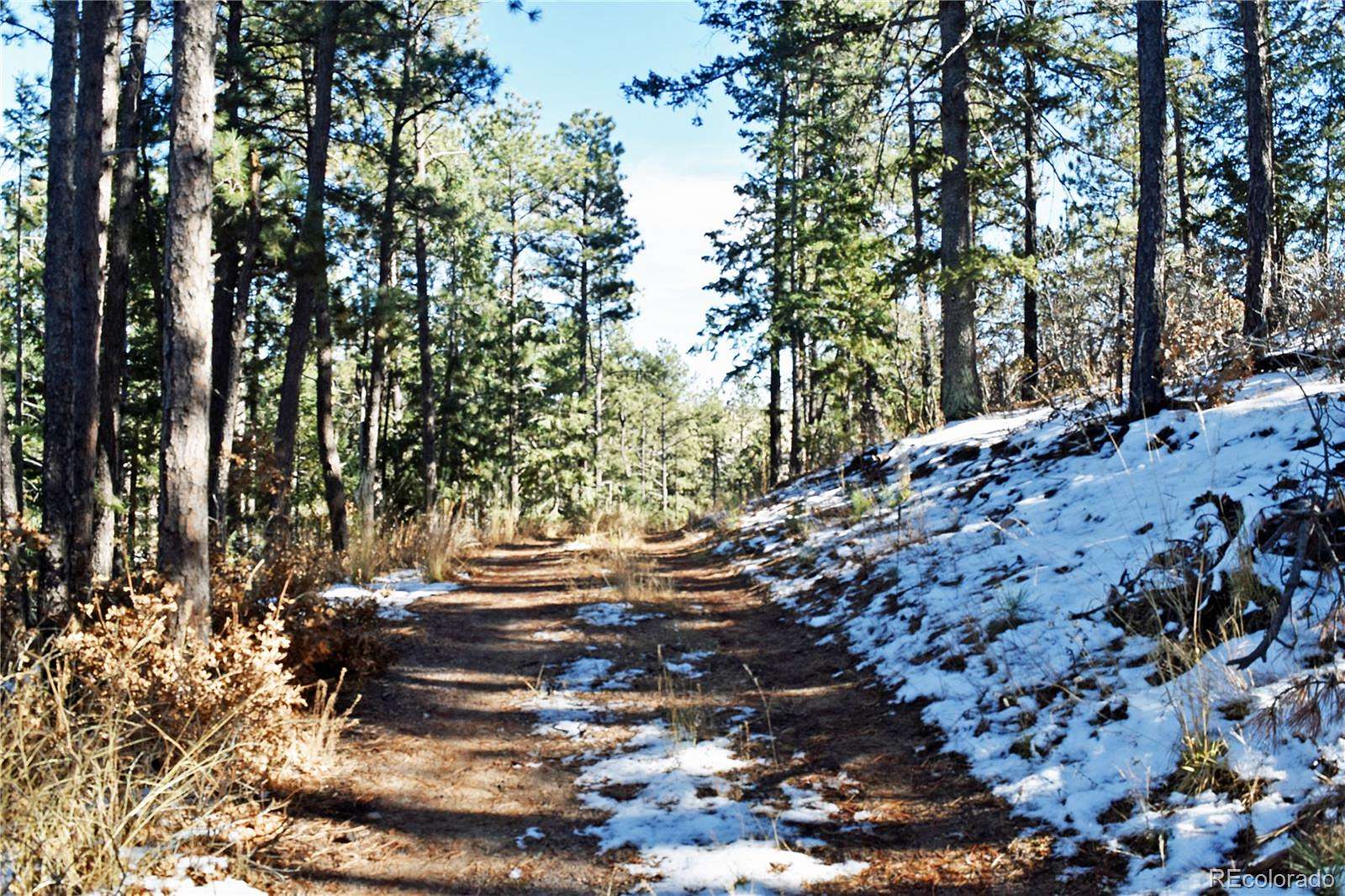 4.83 Acres of Residential Land for Sale in Larkspur, Colorado