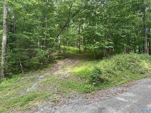 1 Acre of Residential Land for Sale in Owens Cross Roads, Alabama