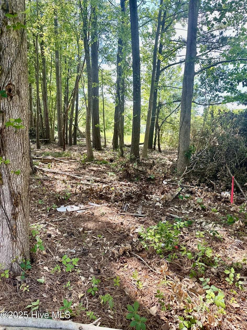 0.3 Acres of Residential Land for Sale in Tabor City, North Carolina