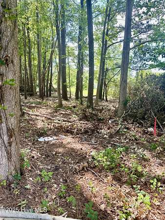 0.3 Acres of Residential Land for Sale in Tabor City, North Carolina