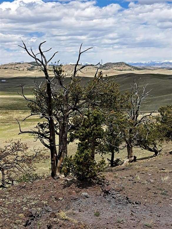 5.6 Acres of Residential Land for Sale in Hartsel, Colorado