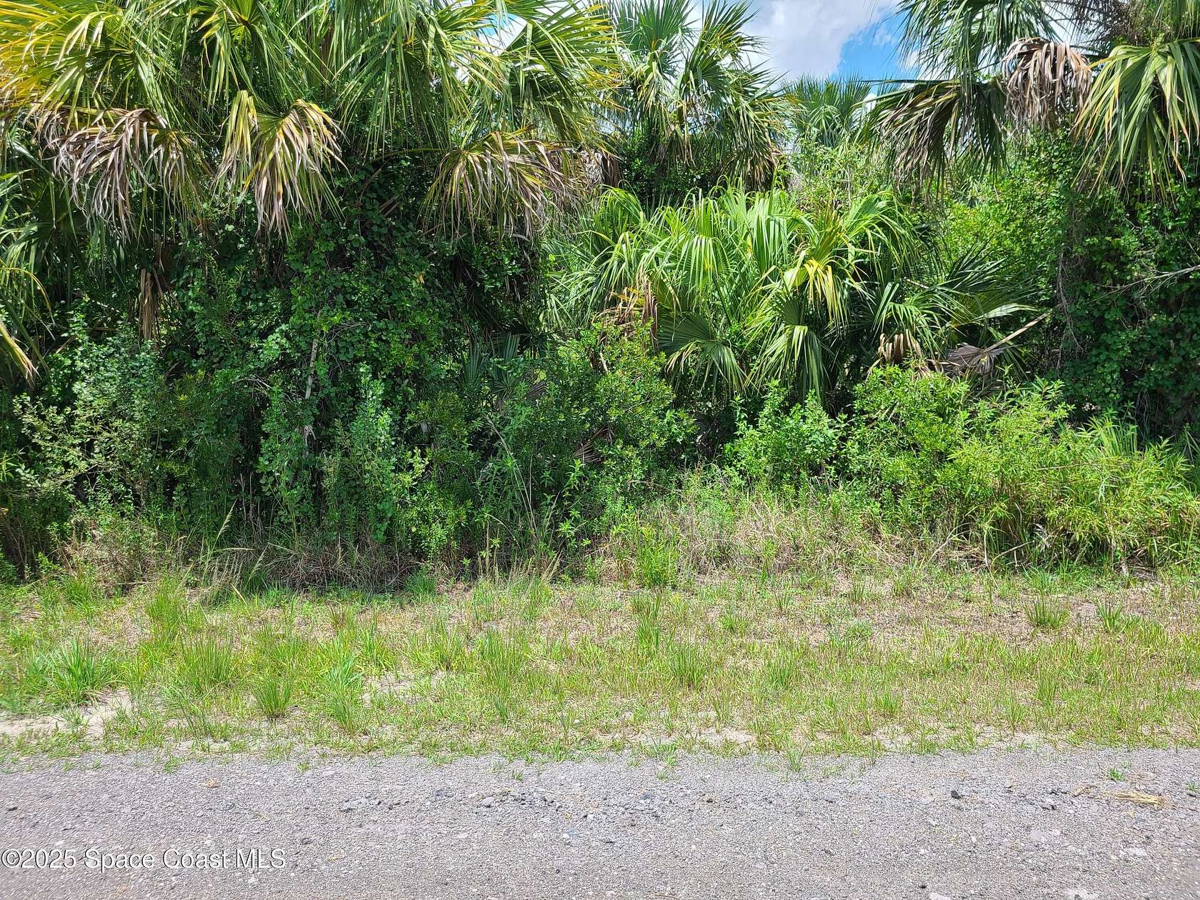 0.24 Acres of Land for Sale in Palm Bay, Florida