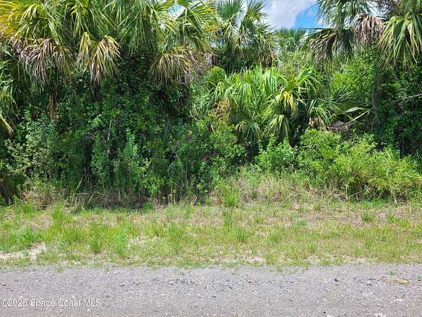 0.24 Acres of Land for Sale in Palm Bay, Florida