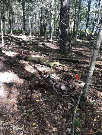 0.32 Acres of Residential Land for Sale in Gouldsboro, Pennsylvania