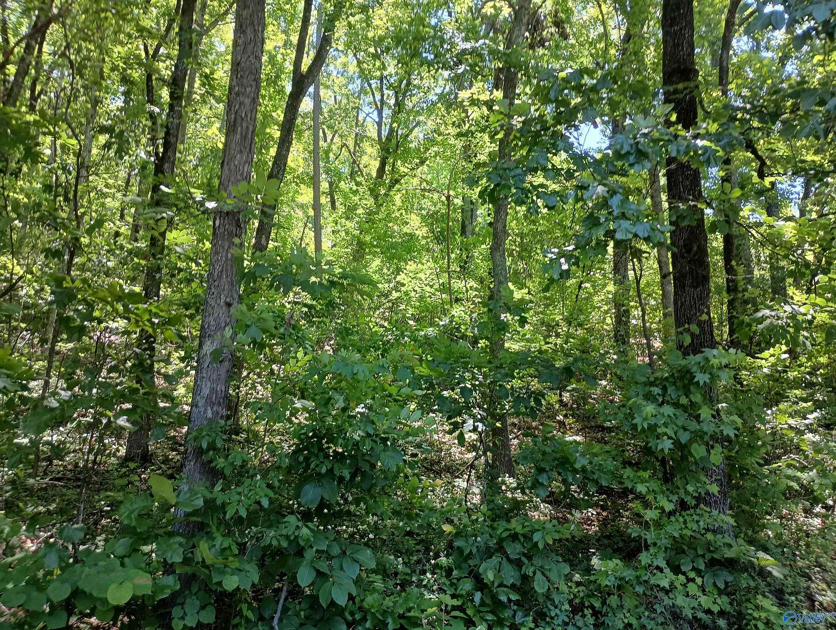 1.35 Acres of Residential Land for Sale in Rainbow City, Alabama