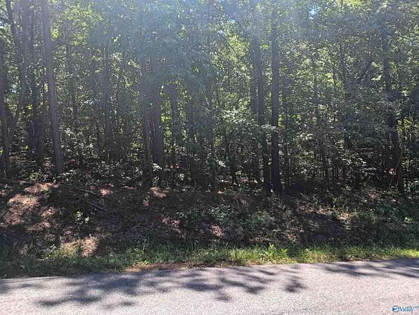 0.47 Acres of Residential Land for Sale in Southside, Alabama