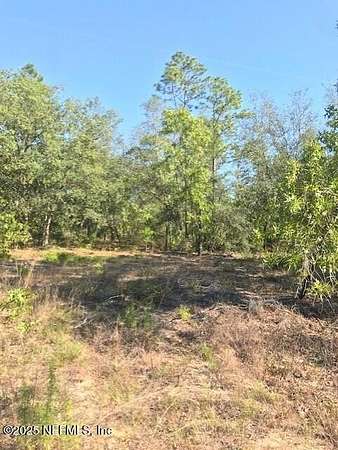 0.77 Acres of Residential Land for Sale in Interlachen, Florida
