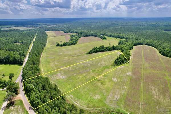 4.18 Acres of Residential Land for Sale in Jay, Florida