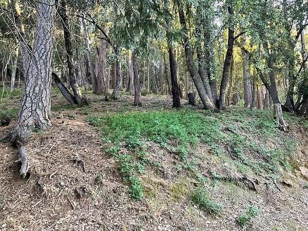 Residential Land for Sale in Murphys, California