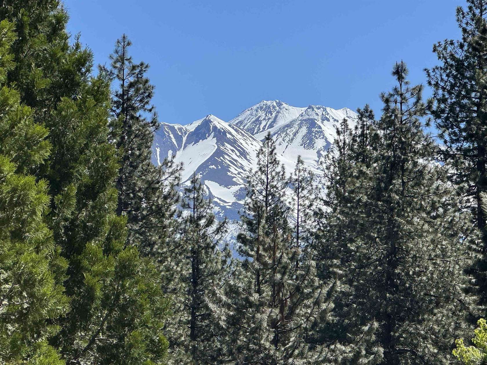 5 Acres of Land for Sale in Weed, California