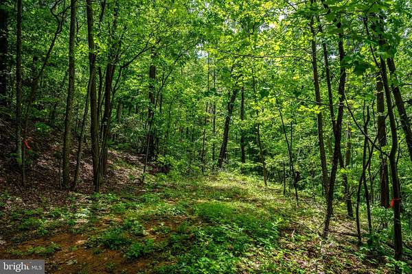 1.15 Acres of Residential Land for Sale in Stanley, Virginia