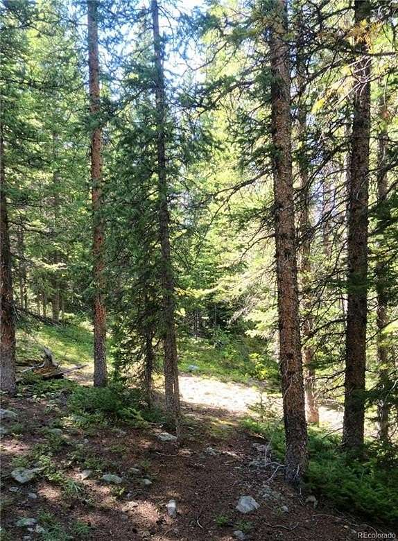1.33 Acres of Residential Land for Sale in Fairplay, Colorado