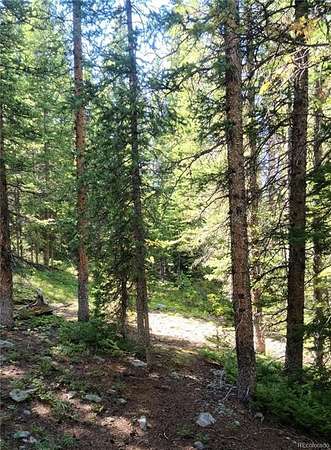 1.33 Acres of Residential Land for Sale in Fairplay, Colorado