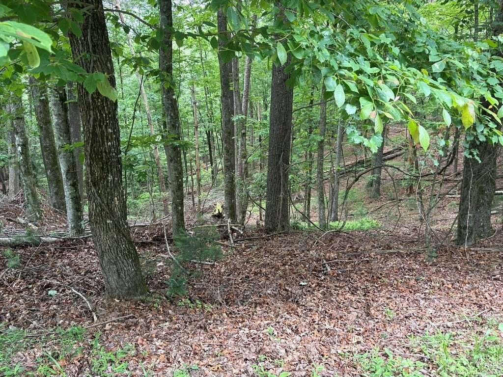 0.76 Acres of Land for Sale in Ellijay, Georgia