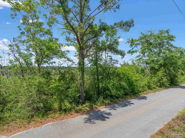1 Acre of Residential Land for Sale in Jay, Florida