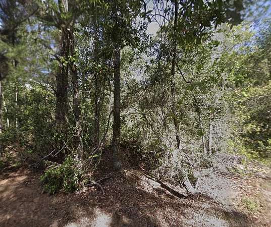0.23 Acres of Residential Land for Sale in Georgetown, Florida